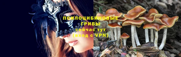 spice Слюдянка