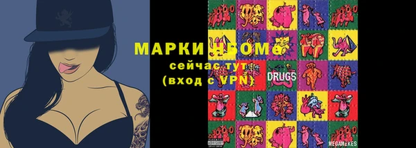гидра Инта