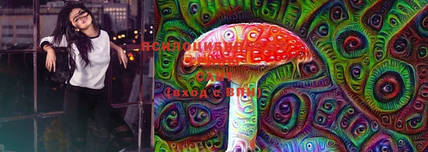 сатива Инсар