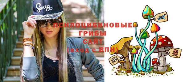 дживик Иннополис