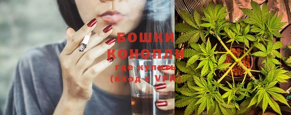 a pvp Снежногорск