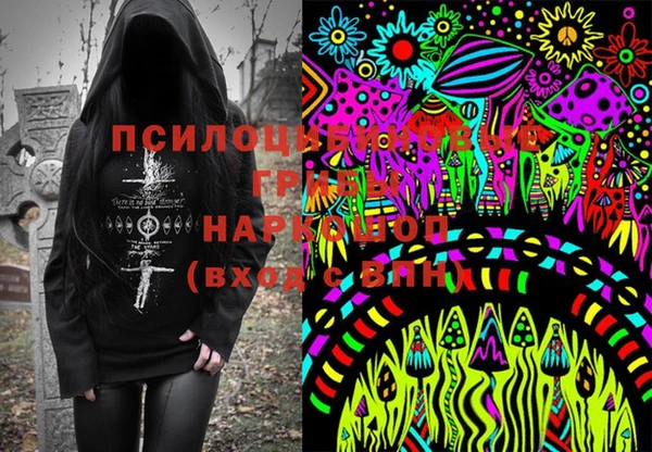 spice Слюдянка